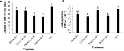 Antibacterial Activity of Endophytic Bacteria Against Sugar Beet Root Rot Agent by Volatile <mark class="highlighted">Organic Compound</mark> Production and Induction of Systemic Resistance